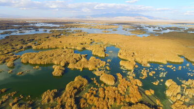 Bu da hazan güzelliği