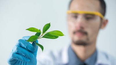 Yatırım tarafında büyüyen Ar-Ge, ağaçlar ve hayvanlar