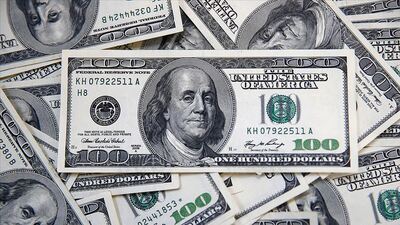 "Türkiye'ye akacak 7 milyar dolar daha var"