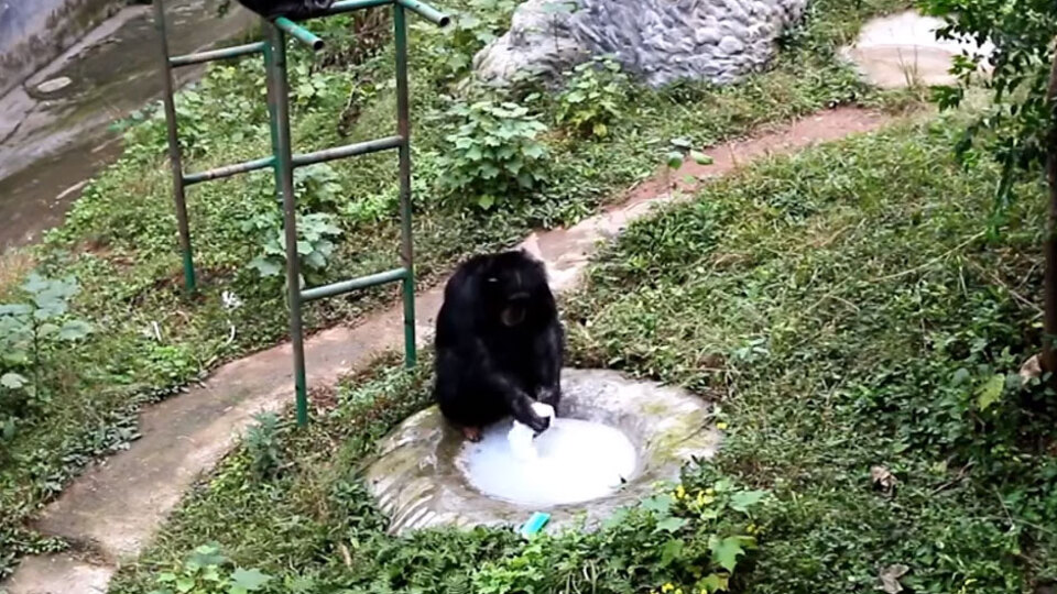 Elleriyle köpürttü!