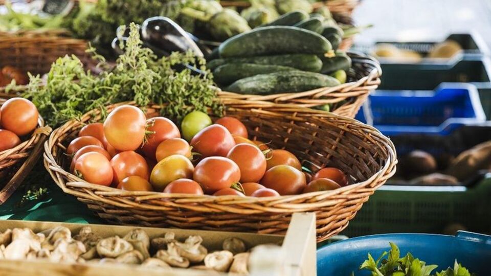 Enflasyon oranı kasım 2020