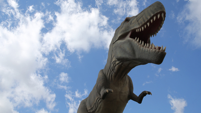 Ankapark'ın elektriği kesildi