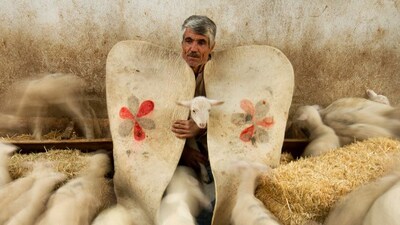 Rüyada aba görmek nedir?