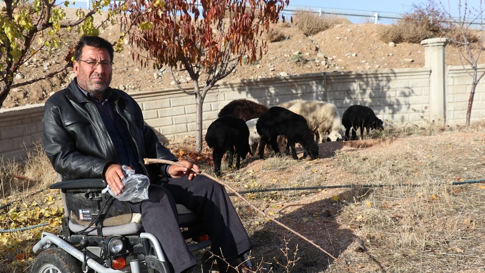 Hibeyle hayalini gerçekleştirdi