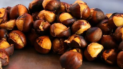 Evde kestane nasıl yapılır?