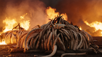 Bu son şansımız mı?