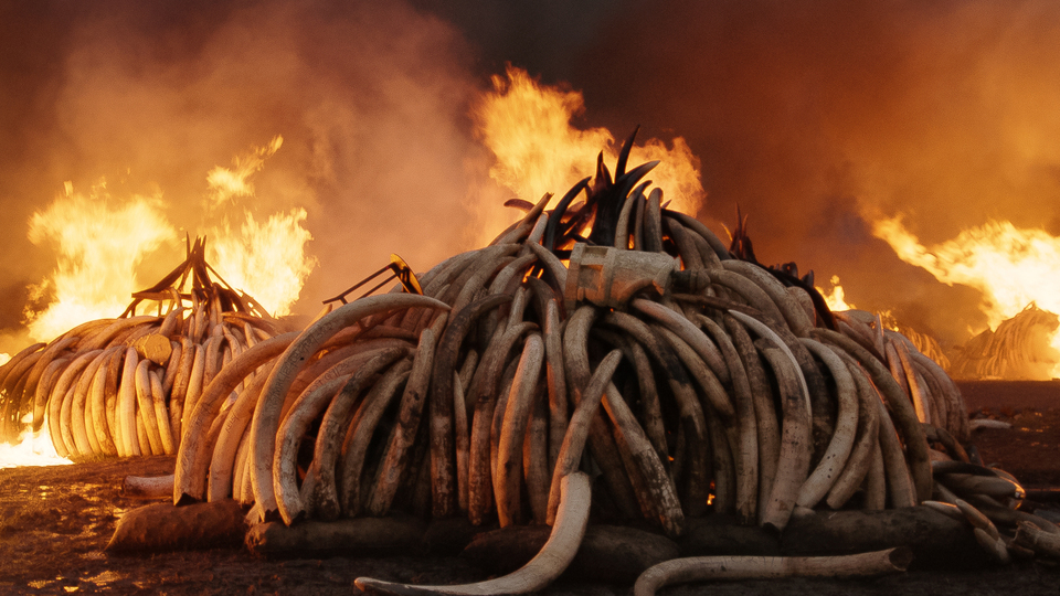 Bu son şansımız mı?