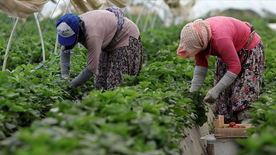 Sosyal politikalar güçlü projelerle desteklenecek