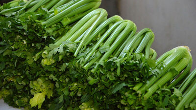 Kerevizin faydaları nelerdir?