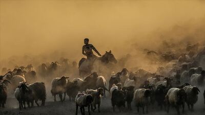 Kırsal kalkınma yatırımlarına bakanlık desteği