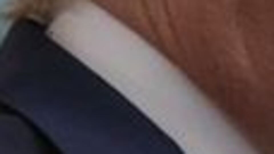 Trump'tan BMGK'ya İran çağrısı