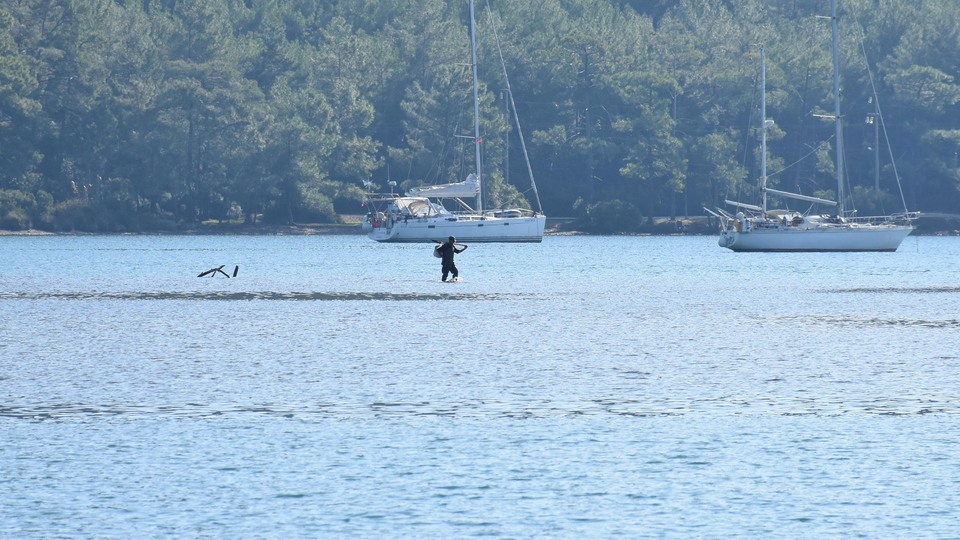 Marmaris'te korkutan görüntü