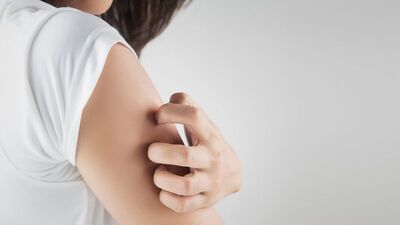 Sıtma Nedir? Nasıl ve nereden bulaşır?