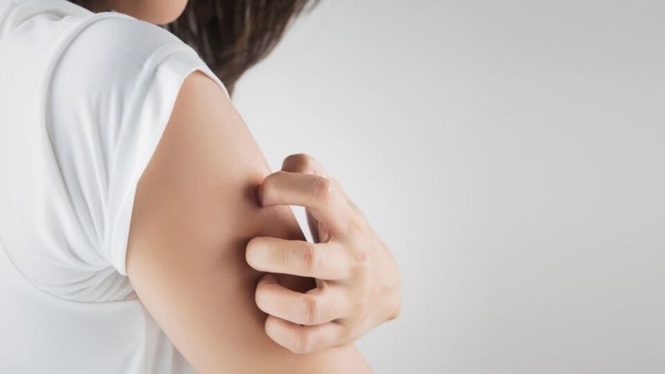 Sıtma Nedir? Nasıl ve nereden bulaşır?