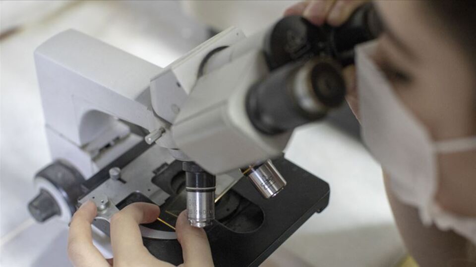 Gıda işletmelerinde "biyomühendis" istihdam edilebilecek