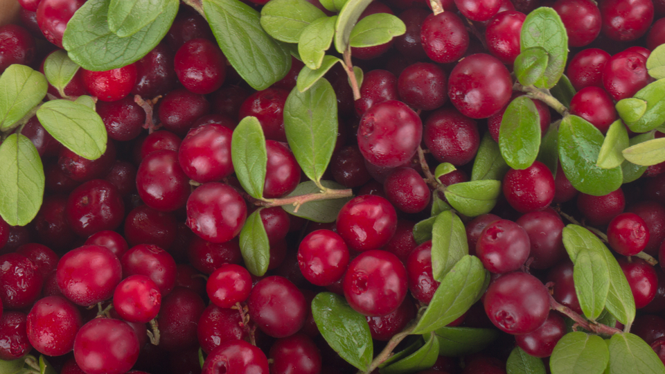 Dikkat! Erkeklerin tüketmemesi gerekiyor
