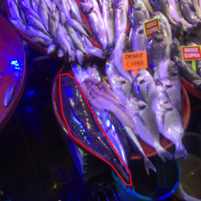 Balıkçı tezgahında şok görüntü!