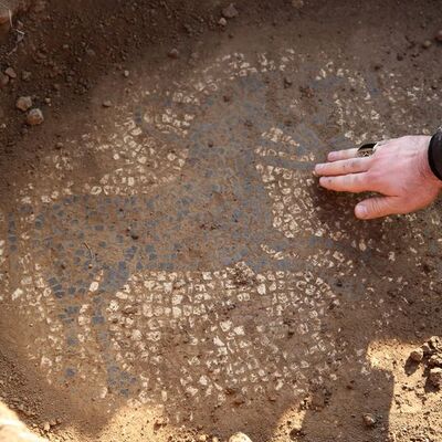 2200 yıllık mozaiği 30 milyon dolara satacaklardı!