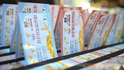 Milli Piyango Sorgulama 2020