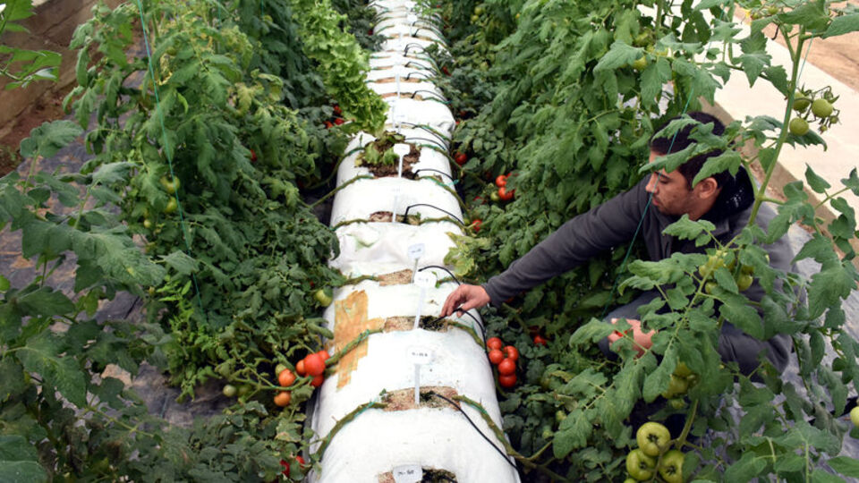 Siparişlere yetişemiyorlar