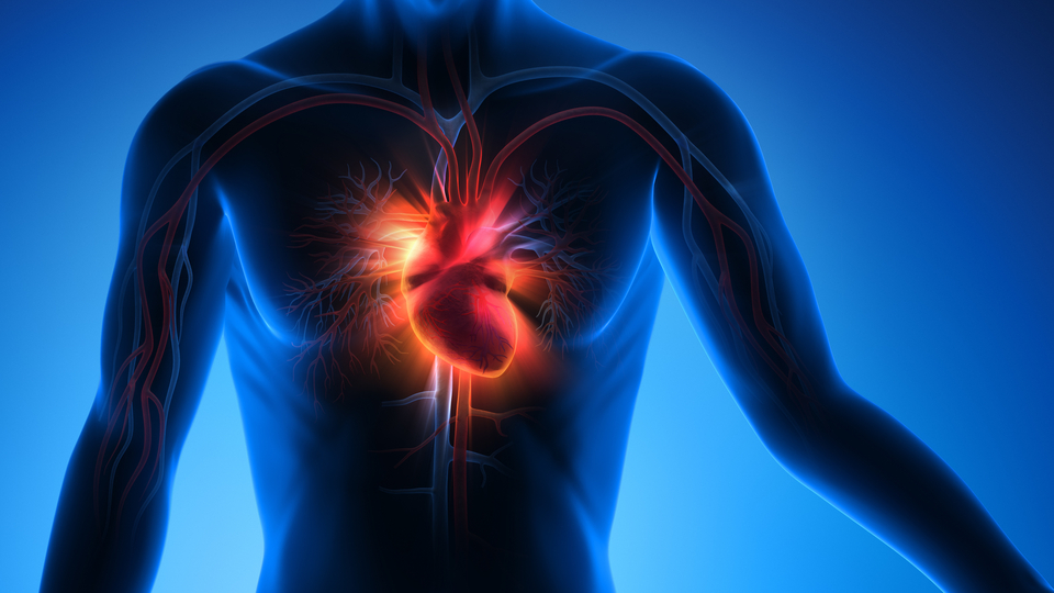 Dikkat! Sigara kadar tehlikeli