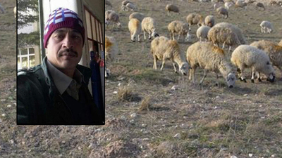 Koyun otlatma cinayeti!
