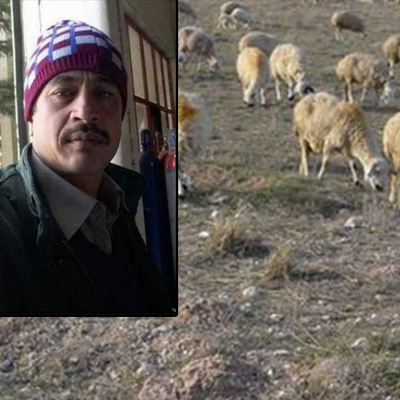 Koyun otlatma cinayeti!