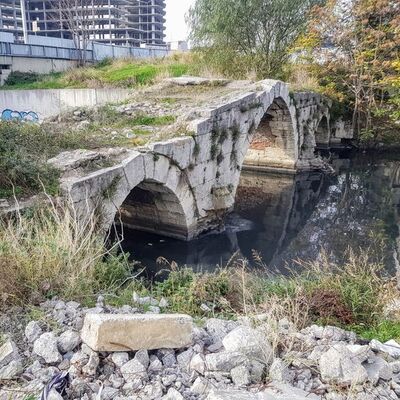 Selden kurtuldu, ihmalden çürüyor!