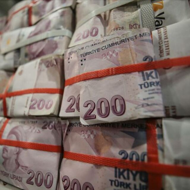 Hazine 6,9 milyar lira borçlandı