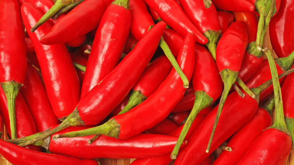 Bu haberden sonra bol bol tüketeceksiniz!