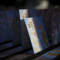 Milli Piyango sıkça sorulan sorular