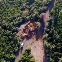 Büyükada'da 81 at itlaf edildi!