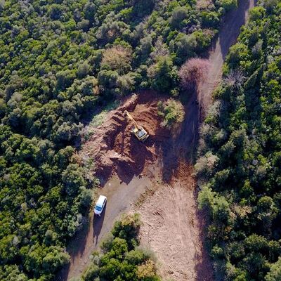 Büyükada'da 81 at itlaf edildi!