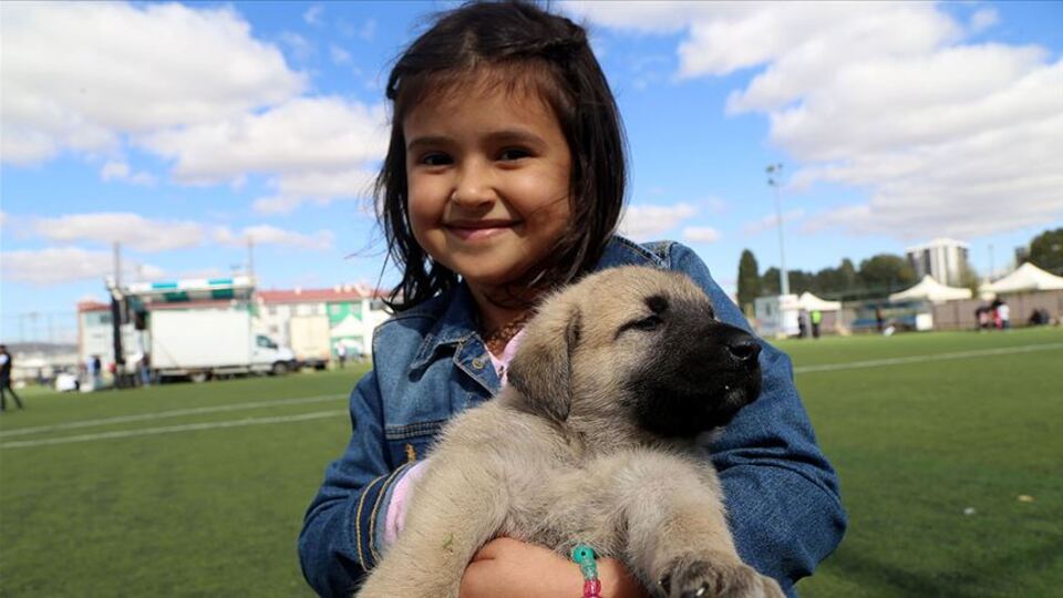 Köpek beslenen evde büyümek...
