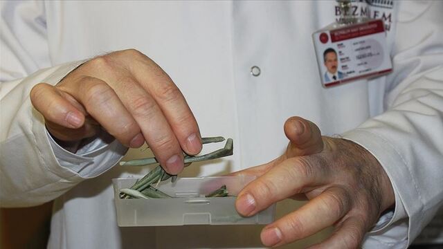 Meğer mucizeymiş! O etkisi kanıtlandı