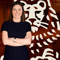 ING Genel Müdürü Abay'a global görev