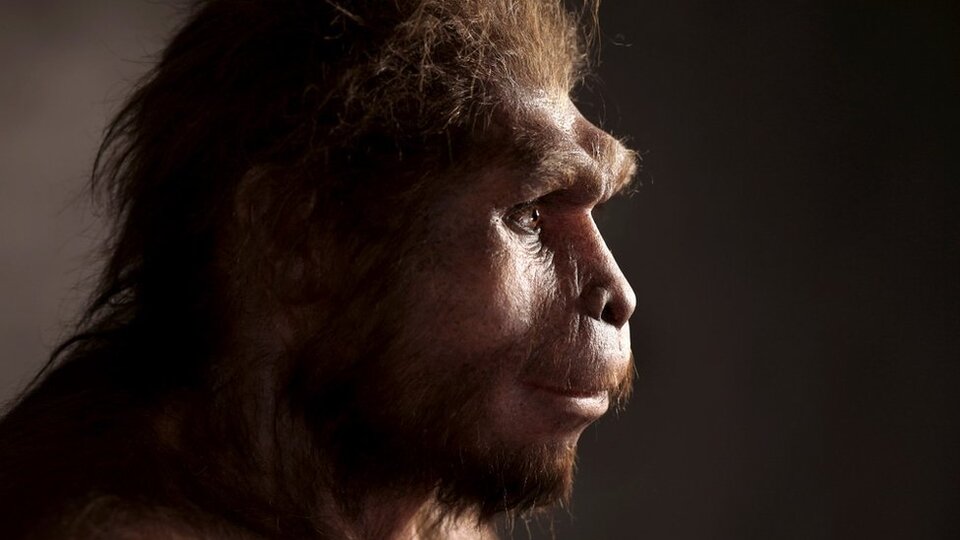 'Homo Erectus sanıldığından çok daha uzun süre yaşadı'