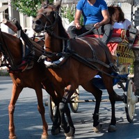 Fayton 3 ay süreyle durduruldu!