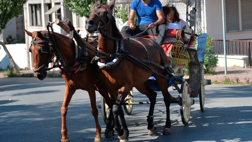 Fayton 3 ay süreyle durduruldu!