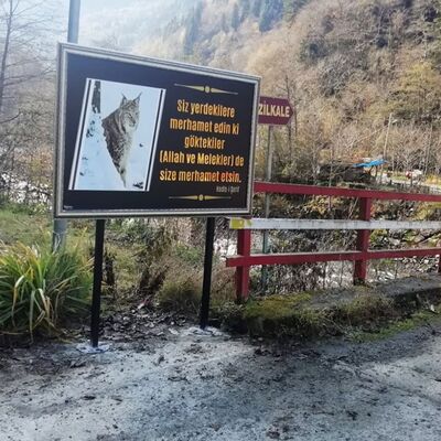 Rize'de köylülerden vahim iddia!