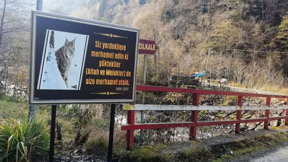 Rize'de köylülerden vahim iddia!