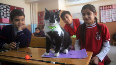 Okulun 860'ıncı öğrencisi Hüsnü