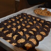 Enerji deposu 'Boyabat ezmesi'