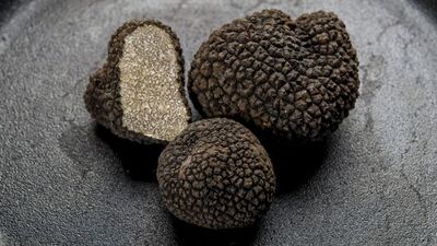 Trüf mantarı nedir? Trüf yağı nasıl üretilir?