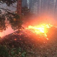 Uludağ'da orman yangını