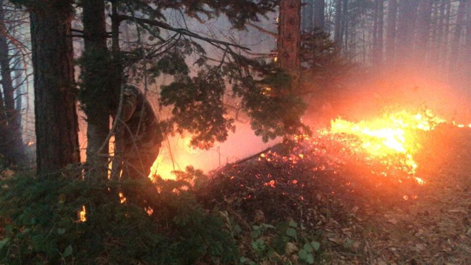 Uludağ'da orman yangını