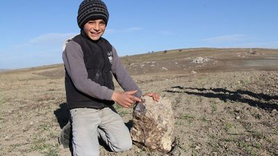 Taş sandılar bakın ne çıktı?