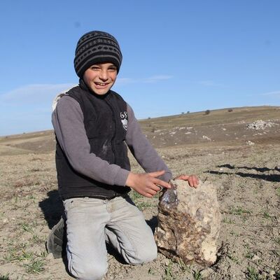 Taş sandılar bakın ne çıktı?