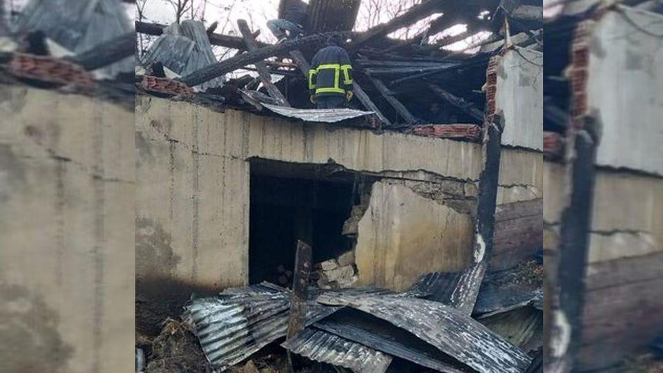 Sinop'ta ahır yangını! 5 büyükbaş hayvan öldü