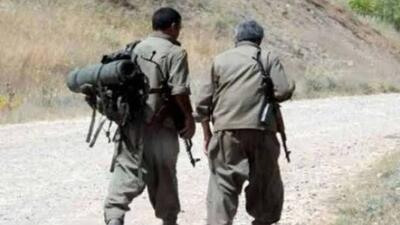 Şırnak'ta 4 terörist teslim oldu